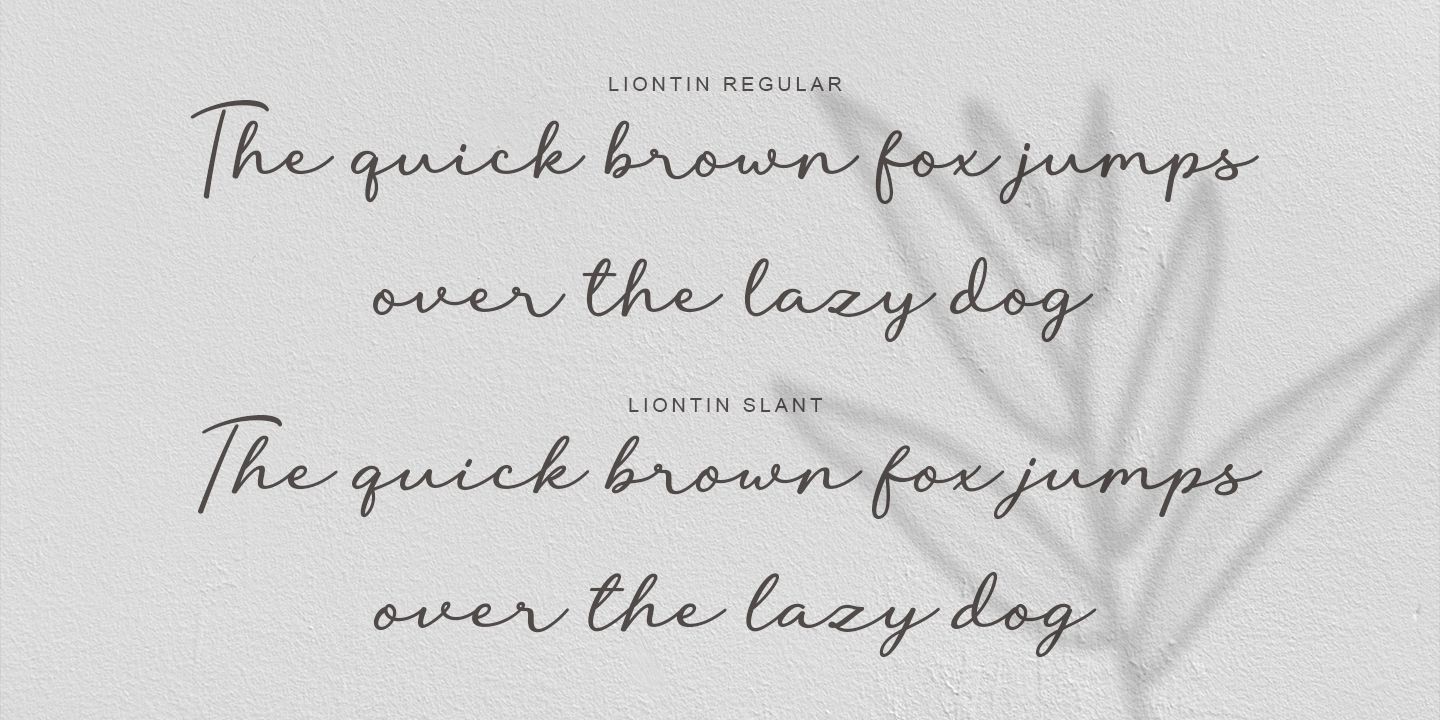 Liontin Slant Font preview